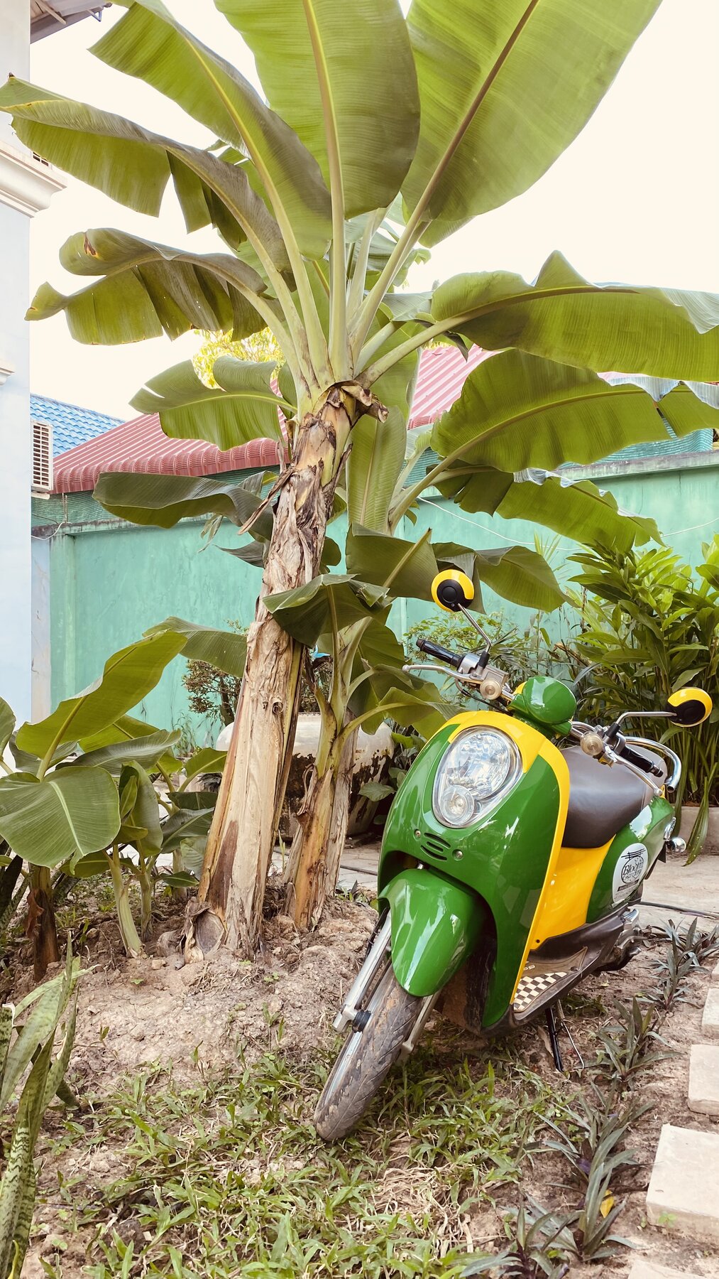 The Bloom Scooter parked outside a Siem Reap villa
